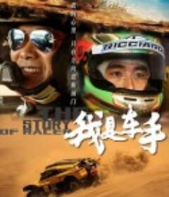 我是车手            (2019)