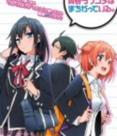 我的青春恋爱物语果然有问题 やはり俺の青春ラブコメはまちがっている。            (2013)