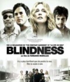 盲流感 Blindness            (2008)