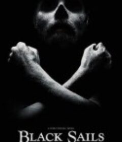 黑帆 第一季 Black Sails Season 1            (2014)