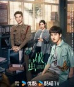 破茧2            (2024)