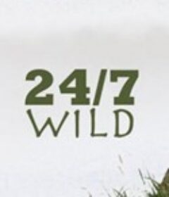 全天候野生动物追踪            (2011)