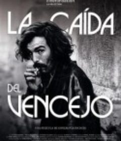 雨燕的坠落 La caída del vencejo            (2021)