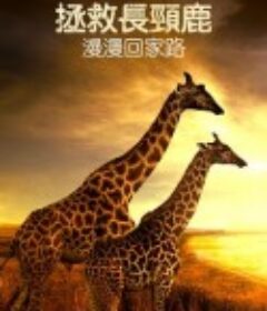 营救长颈鹿之漫漫归途 Saving Giraffes: The Long Journey Home            (2022)
