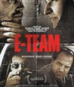 E团队 E-TEAM            (2014)