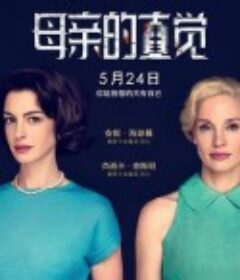 母亲的直觉 Mothers' Instinct            (2024)