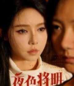 夜色将明            (2024)