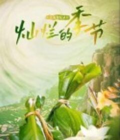 灿烂的季节            (2023)
