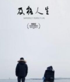 及格人生            (2021)