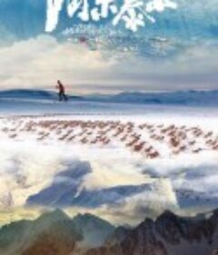 阿尔泰山            (2023)