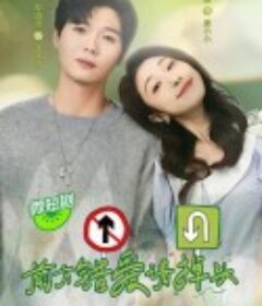 前方错爱请掉头            (2024)