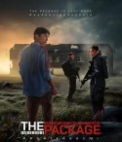 死亡包裹 The Package            (2024)