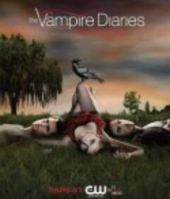 吸血鬼日记 第一季 The Vampire Diaries Season 1            (2009)