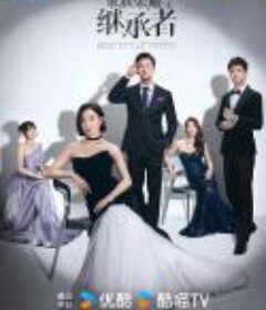 家族荣耀之继承者            (2024)