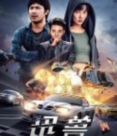 迅兽            (2024)