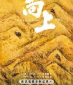 向上            (2023)