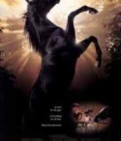 黑骏马 Black Beauty            (1994)