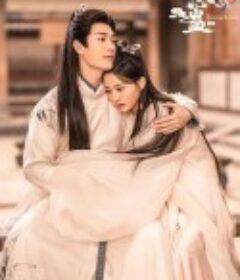 相思蛊            (2024)