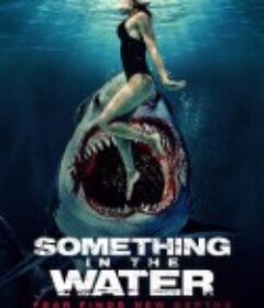 鲨齿险滩 Something in the Water            (2024)