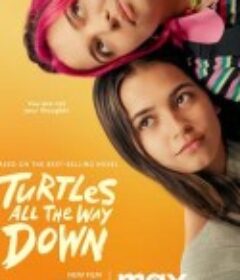 刨根问底 Turtles All The Way Down            (2024)