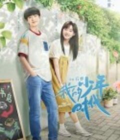 我的少年时代            (2024)