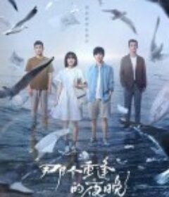 那个重逢的夜晚            (2024)