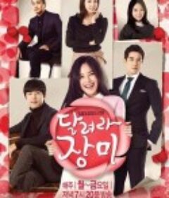 奔跑吧蔷薇 달려라 장미            (2014)