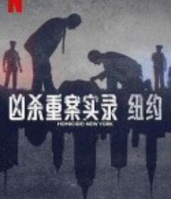 凶杀重案实录：纽约 Homicide: New York            (2024)