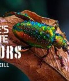 动物封神榜 第一季 Nature's Ultimate Survivors Season 1            (2023)