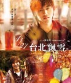 台北飘雪 Snowfall in Taipei            (2012)