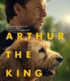 冠军亚瑟 Arthur the King            (2024)