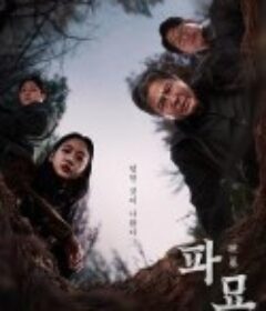 破墓 파묘            (2024)