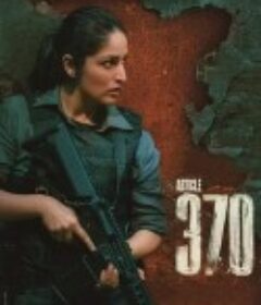 印宪370条 Article 370            (2024)