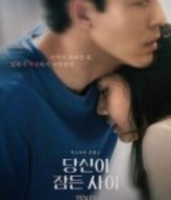 当你沉睡时 당신이 잠든 사이            (2024)