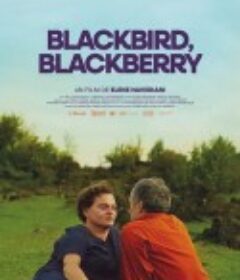 黑鸟黑鸟黑莓 შაშვი შაშვი მაყვალი            (2023)