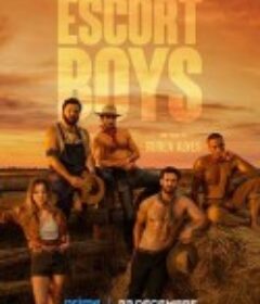 应召男郎 Escort Boys            (2023)