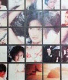 袁氏遗产案            (1989)