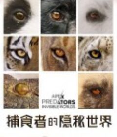 捕食者的隐秘世界 Apex Predators: Invisible Worlds            (2024)