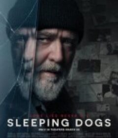 沉睡烈犬 Sleeping Dogs            (2024)