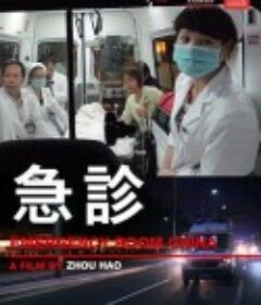 急诊            (2013)