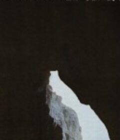 海草 Seagrass            (2023)