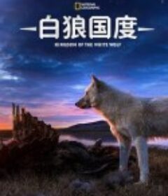 雪狼王国 第一季 Kingdom of the White Wolf Season 1            (2019)