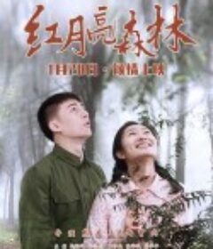 红月亮森林            (2020)