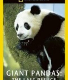 拯救大熊猫 Giant Pandas - The Last Refuge            (1994)