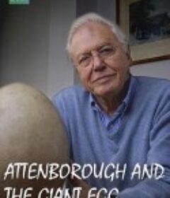 爱登堡与巨蛋 Attenborough and the Giant Egg            (2011)