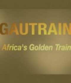 豪登高铁 Africa's Golden Train            (2018)