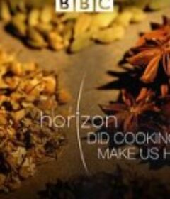 地平线系列：烹饪造就人类吗 Horizon: Did Cooking Make Us Human            (2010)
