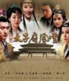 大明太子府风云            (2010)