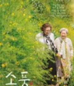 郊游 소풍            (2023)