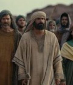 圣约之外：摩西的故事 Testament: The Story of Moses            (2024)